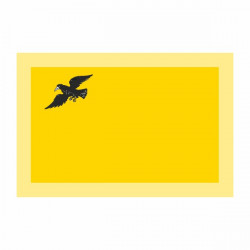 Флаг города Грайворон и Грайворонского района на флажной сетке